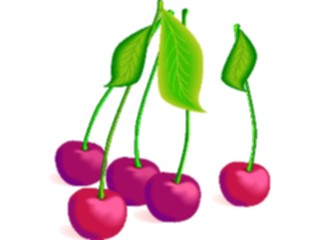 Sticker Custom Preview Image #063788 Food Drink Fruits Cherries30