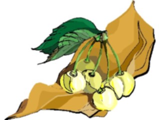 Sticker Custom Preview Image #063794 Food Drink Fruits Cherries36