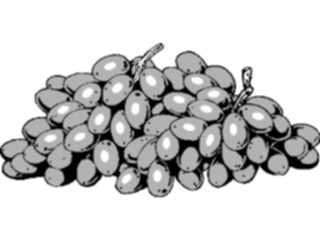 Sticker Custom Preview Image #063883 Food Drink Fruits Grapes10