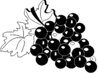 Sticker Custom Preview Image #063884 Food Drink Fruits Grapes11