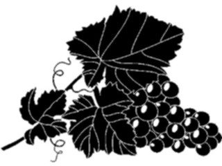 Sticker Custom Preview Image #063886 Food Drink Fruits Grapes13