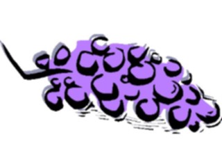 Sticker Custom Preview Image #063894 Food Drink Fruits Grapes21