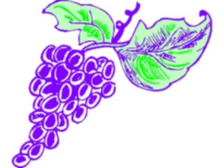 Sticker Custom Preview Image #063902 Food Drink Fruits Grapes29