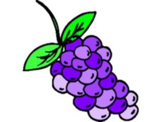 Sticker Custom Preview Image #063904 Food Drink Fruits Grapes31