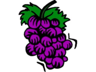 Sticker Custom Preview Image #063908 Food Drink Fruits Grapes35