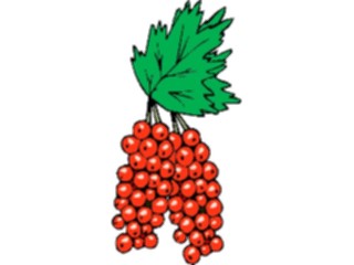 Sticker Custom Preview Image #063916 Food Drink Fruits Grapes43