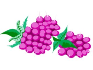 Sticker Custom Preview Image #063919 Food Drink Fruits Grapes46