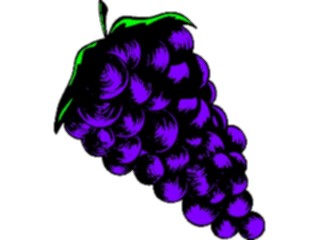 Sticker Custom Preview Image #063921 Food Drink Fruits Grapes48