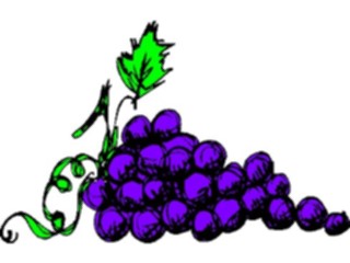 Sticker Custom Preview Image #063931 Food Drink Fruits Grapes58