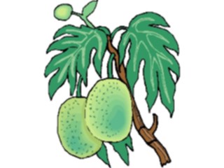 Sticker Custom Preview Image #063956 Food Drink Fruits Kiwi10