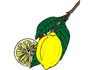 Sticker Custom Preview Image #063994 Food Drink Fruits Lemons4