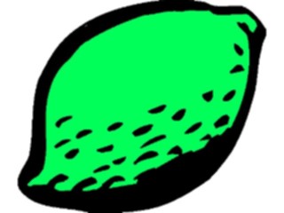 Sticker Custom Preview Image #064006 Food Drink Fruits Lime09