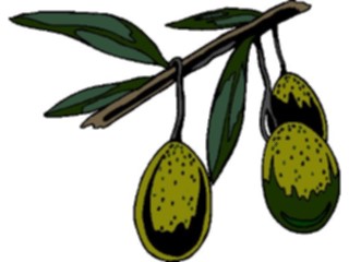 Sticker Custom Preview Image #064034 Food Drink Fruits Oliveson Branch