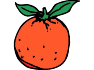 Sticker Custom Preview Image #064042 Food Drink Fruits Orange08