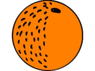 Sticker Custom Preview Image #064046 Food Drink Fruits Orange12