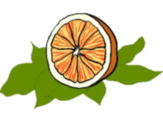 Sticker Custom Preview Image #064055 Food Drink Fruits Orange Half1
