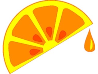Sticker Custom Preview Image #064063 Food Drink Fruits Orange Slice4