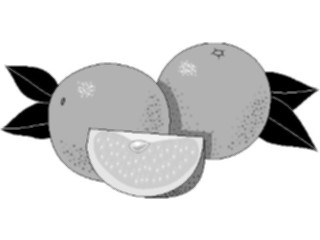 Sticker Custom Preview Image #064073 Food Drink Fruits Oranges01