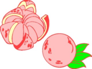 Sticker Custom Preview Image #064079 Food Drink Fruits Oranges07