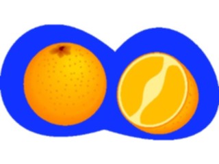 Sticker Custom Preview Image #064082 Food Drink Fruits Oranges10