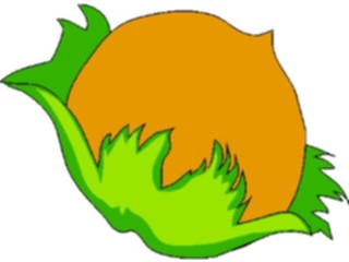 Sticker Custom Preview Image #064087 Food Drink Fruits Peach01