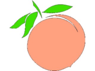 Sticker Custom Preview Image #064089 Food Drink Fruits Peach03