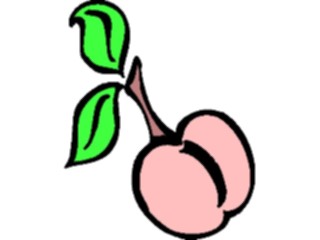 Sticker Custom Preview Image #064091 Food Drink Fruits Peach05