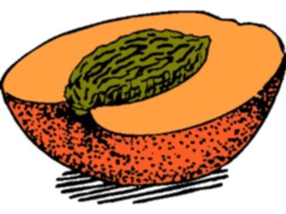 Sticker Custom Preview Image #064093 Food Drink Fruits Peach07