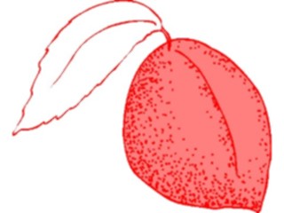 Sticker Custom Preview Image #064095 Food Drink Fruits Peach09