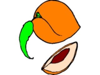 Sticker Custom Preview Image #064101 Food Drink Fruits Peach15