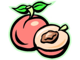 Sticker Custom Preview Image #064103 Food Drink Fruits Peaches02