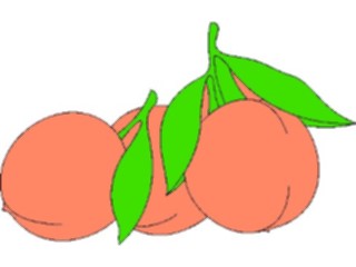 Sticker Custom Preview Image #064104 Food Drink Fruits Peaches03