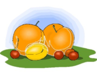 Sticker Custom Preview Image #064107 Food Drink Fruits Peaches06