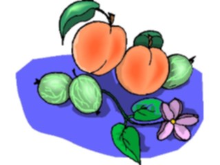Sticker Custom Preview Image #064108 Food Drink Fruits Peaches07