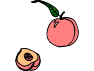 Sticker Custom Preview Image #064111 Food Drink Fruits Peaches11
