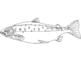 Sticker Custom Preview Image #064384 Food Drink Keylined Fish1