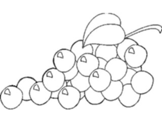 Sticker Custom Preview Image #064394 Food Drink Keylined Grapes1