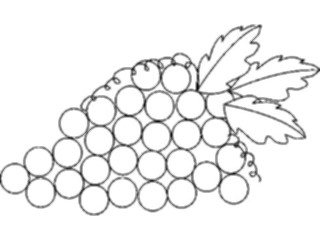 Sticker Custom Preview Image #064396 Food Drink Keylined Grapes3