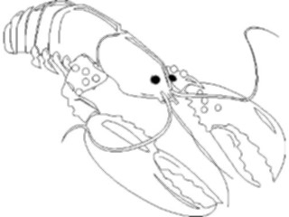 Sticker Custom Preview Image #064405 Food Drink Keylined Lobster1