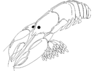 Sticker Custom Preview Image #064406 Food Drink Keylined Lobster2