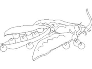 Sticker Custom Preview Image #064424 Food Drink Keylined Pea Pods