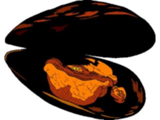 Sticker Custom Preview Image #064785 Food Drink Seafood Oyster1