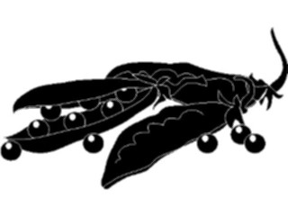 Sticker Custom Preview Image #064936 Food Drink Silhouettes Pea Pods1