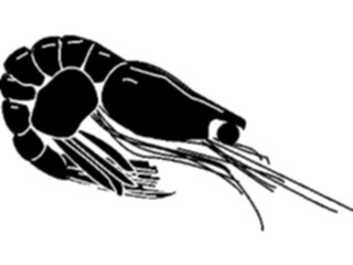 Sticker Custom Preview Image #064963 Food Drink Silhouettes Shrimp