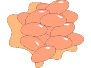 Sticker Custom Preview Image #065025 Food Drink Veggies Beans2