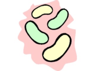 Sticker Custom Preview Image #065026 Food Drink Veggies Beans3