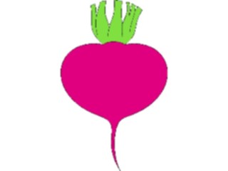 Sticker Custom Preview Image #065032 Food Drink Veggies Beet4