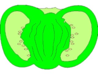 Sticker Custom Preview Image #065041 Food Drink Veggies Bell Pepper04