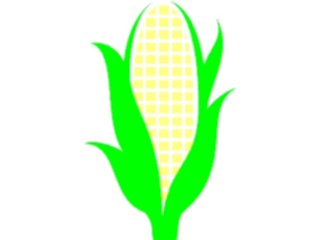 Sticker Custom Preview Image #065194 Food Drink Veggies Corn02