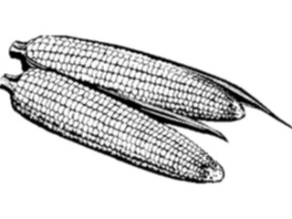 Sticker Custom Preview Image #065198 Food Drink Veggies Corn06